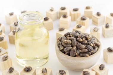 Petrol ve beyaz arka plan üzerinde Keneotu tohumlarını.