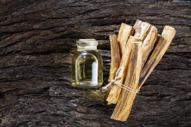 Bursera graveolens, özü ve reçine. İspanyolca (