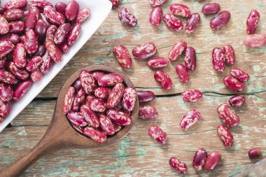 masada Phaseolus vulgaris kase kırmızı fasulye