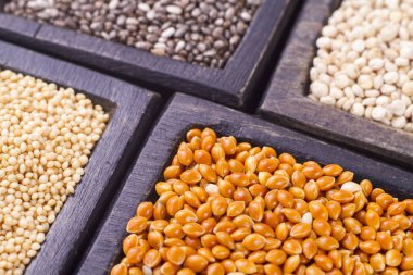 Süper glutensiz gıdalar taneleri: amaranth, chia, quinoa, darı