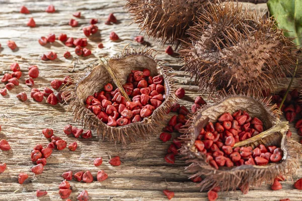 Semillas de achiote, originarias de América Central y partes de América del Sur, se utilizan para sazonar alimentos — Foto de Stock