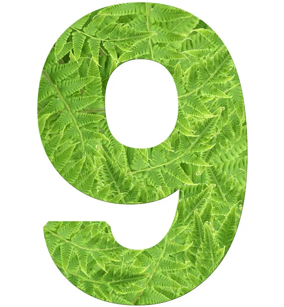 Number 9 with fern texture, isolated on white background, font Helvetica World, bold — Stock Photo, Image