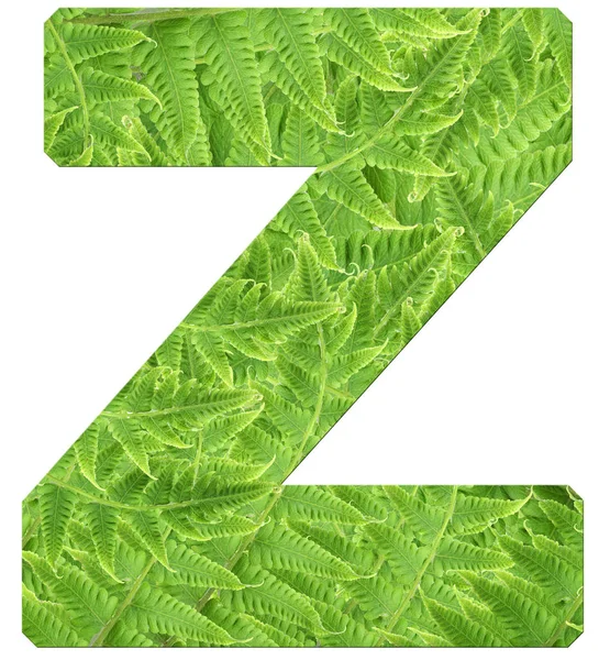 Lettre z avec texture de feuilles de fougère, police Helvetica Word — Photo