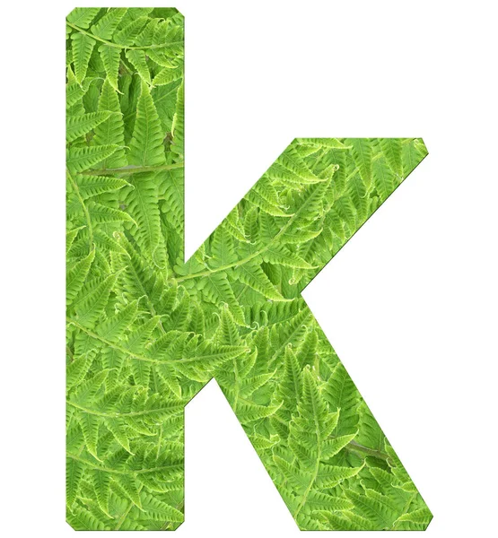 Letra k com textura de folhas de samambaia, fonte Helvetica Word — Fotografia de Stock