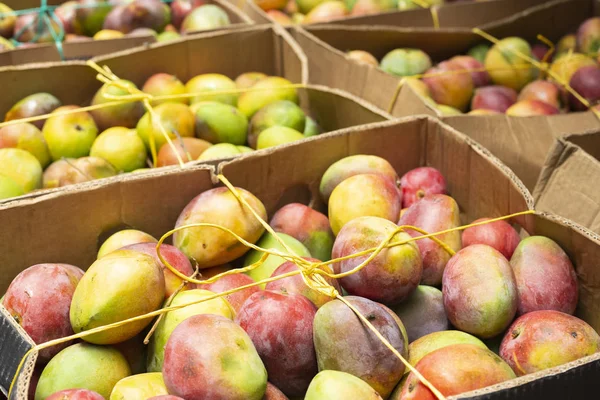 Pila de mangos en el mercado colombiano . — Foto de Stock