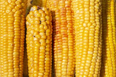 pazarda Mısır koçanı yığını