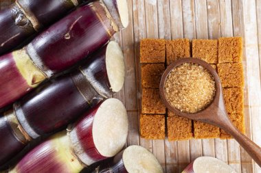 Şeker kamışı ve Kolombiya 'dan kahverengi şeker ve panela türevleri