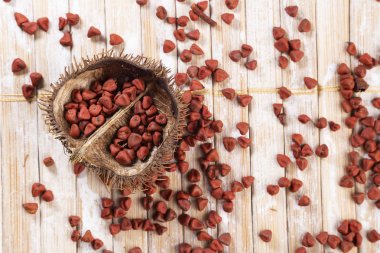 Rustik ahşap üzerinde Annatto tohumları