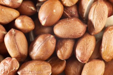 fıstık taneleri, yakın çekim