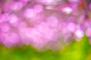 Doğal arkaplan yeşil ve pembe renklerde odak dışı