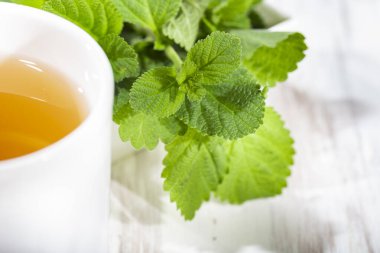 Mor adaçayı ve çay masada, Lippia Alba.