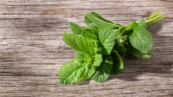 Masada mor adaçayı, Lippia Alba