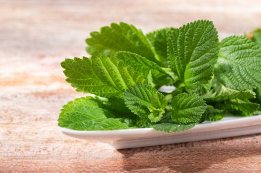 Masada mor adaçayı, Lippia Alba