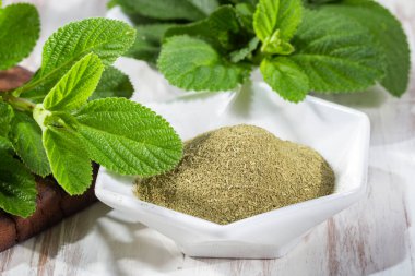 Pronto Alivio masadaki toz ve yapraklar, Lippia Alba