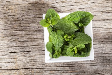 Masada mor adaçayı, Lippia Alba