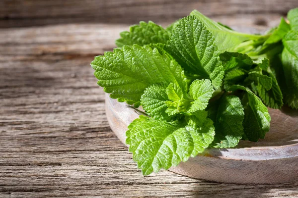 Masada mor adaçayı, Lippia Alba