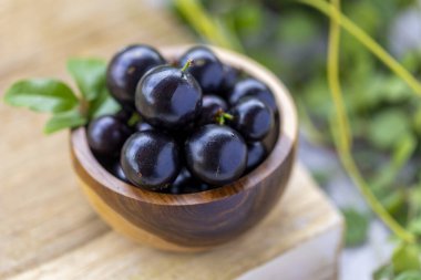 Amazon kökenli egzotik ve lezzetli taze Jaboticaba meyveleri.