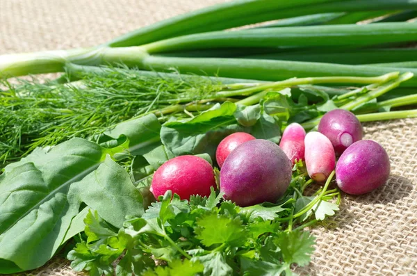 Świeże Warzywa Rzodkiewki Bliska — Zdjęcie stockowe