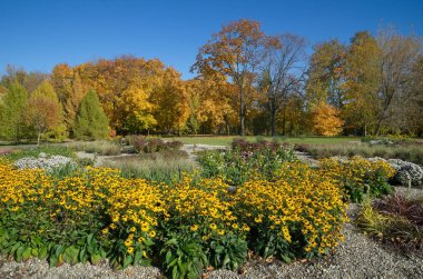 Sonbahar Park Peyzaj tasarımı 