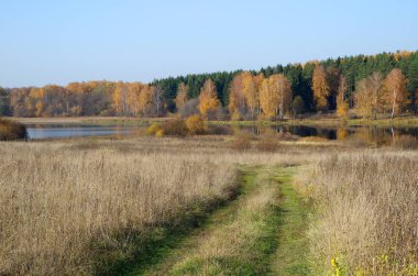 Sonbahar Ekim manzara nehir ve yol