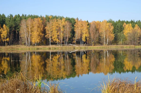 Hermoso Paisaje Otoño Con Río — Foto de Stock