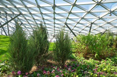 Moscow, Rusya Federasyonu - 12 Mayıs 2018: doğal peyzaj Park 