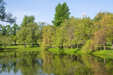 Moskova, Rusya'nın büyük Novodevichy birikintisi bahar bakış