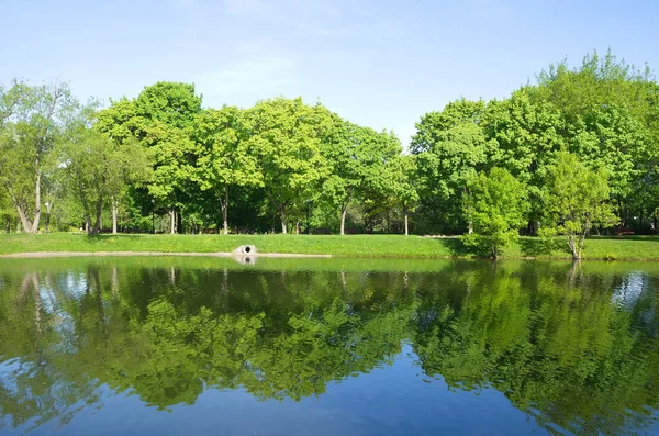 Big Novodevichy Pond Sunny Spring Day Moscow Russia — Stock Photo, Image