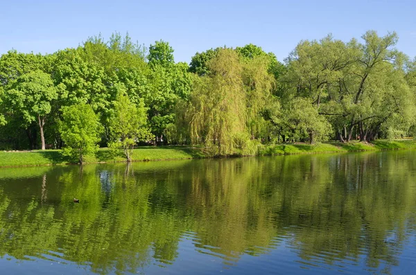 Beautiful Spring View Big Novodevichy Pond Sunny Day Moscow Russia — Stock Photo, Image