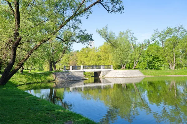 Bridge Pond Novodevichy Convent Sunny Spring Day Moscow Russia — Stock Photo, Image