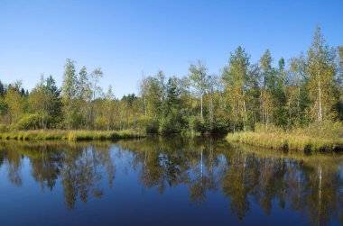 Nehir güneşli bir sonbahar, yatay