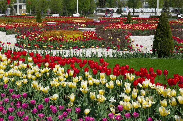 Moskau Russland Mai 2019 Schöne Frühlings Landschaftsgestaltung Bei Vdnh — Stockfoto