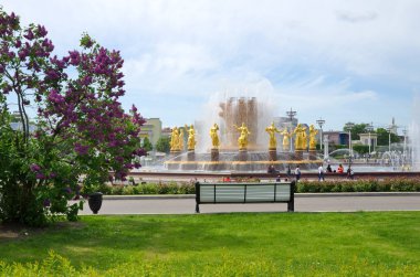 Moskova, Rusya - 20 Mayıs 2019: Bahar da Vdnh'de 