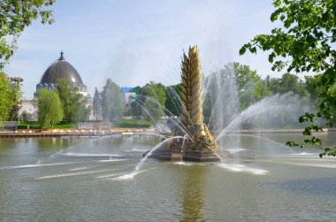 Moskova, Rusya - 20 Mayıs 2019: Vdnh'deki 