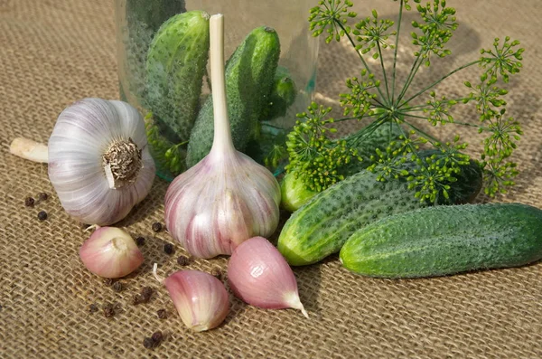 Preparation for home canning cucumbers