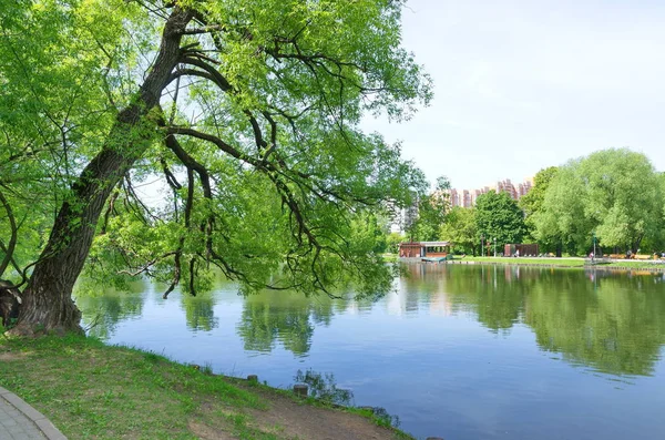 Vorontsov Pond Vorontsov Park Moscow Russia — Stock Photo, Image