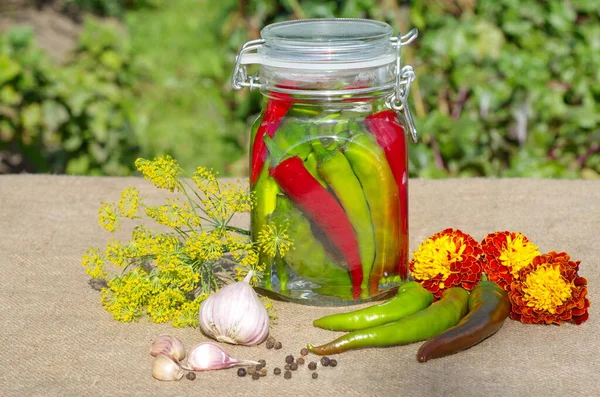 Διατήρηση Καυτερές Πιπεριές Συστατικά Στο Τραπέζι Στον Κήπο — Φωτογραφία Αρχείου