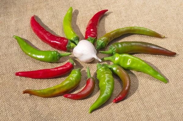 Hot Pepper Pods Een Kop Knoflook Worden Verspreid Een Zak — Stockfoto