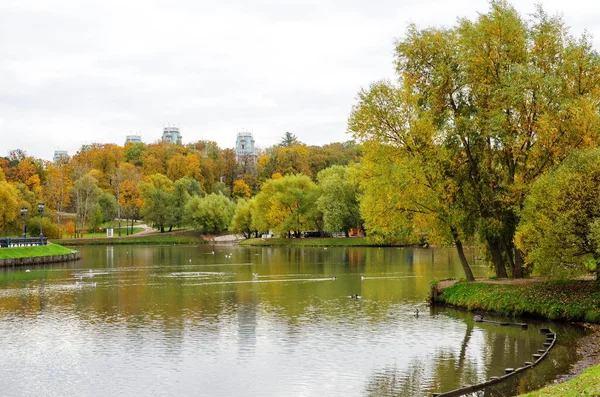 Moscow Russia October 2018 Autumn View Middle Tsaritsynsky Pond Park — Stock Photo, Image