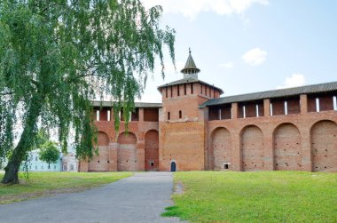 Kolomna Kremlin 'in Granovitaya Kulesi. Kolomna şehri, Moskova bölgesi, Rusya