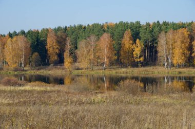 Güneşli bir günde sonbahar su manzarası