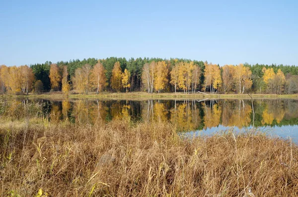 Paisaje Otoñal Con Río Día Soleado — Foto de Stock