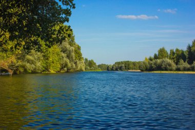 Fr Sahil yakınındaki ağaçlarla gün batımında Nehri'nin ağzında