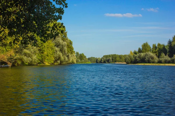 Fr Sahil yakınındaki ağaçlarla gün batımında Nehri'nin ağzında