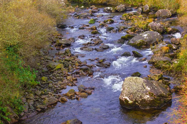 Kleiner Fluss Zwischen Baum Und Gras Gelb Grün Und Rot — Stockfoto