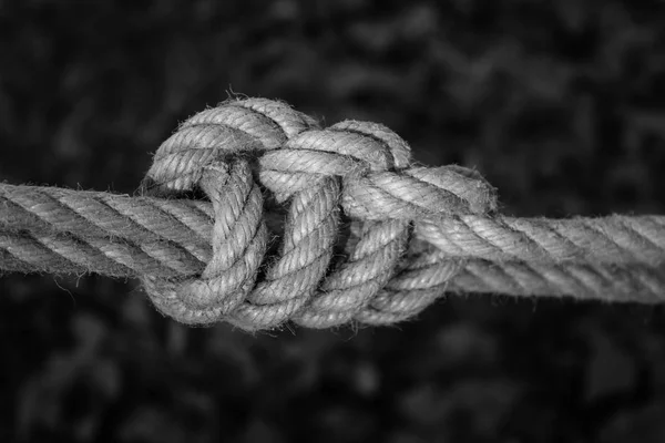 Білі Морські Вузли Мотузка — стокове фото