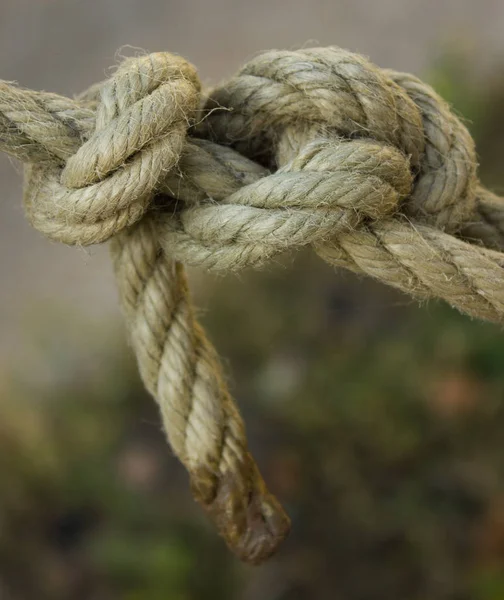 白い海結び目ロープ — ストック写真