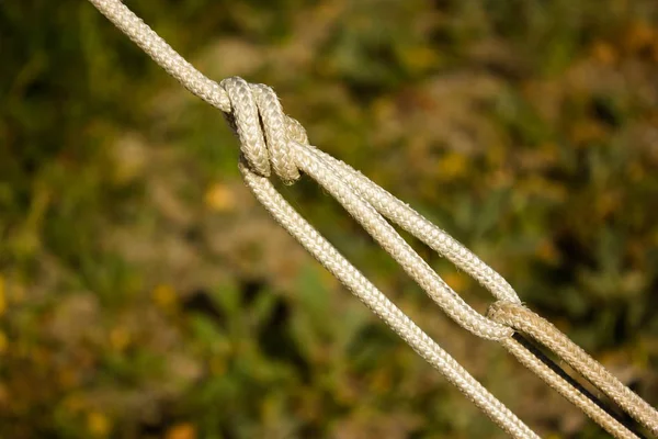 White Sea Knots Rope — Stock Photo, Image