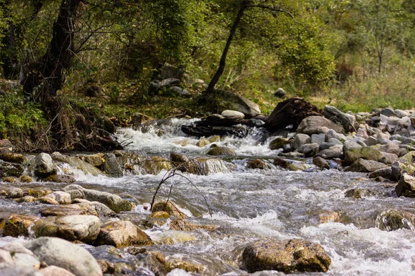 Θυελλώδης Ορεινό Ποτάμι Φθινόπωρο — Φωτογραφία Αρχείου