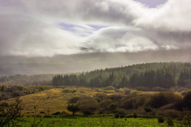 Yeşil alanlar ve köknar ağaçları ve bulutlar daire, mavi gökyüzü, İrlanda şeklinde bir Tepesi'nden görüntülemek
